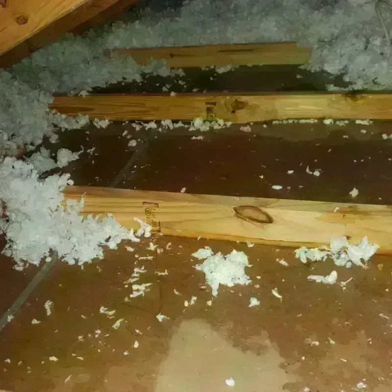 Attic Water Damage in Hardin, MT