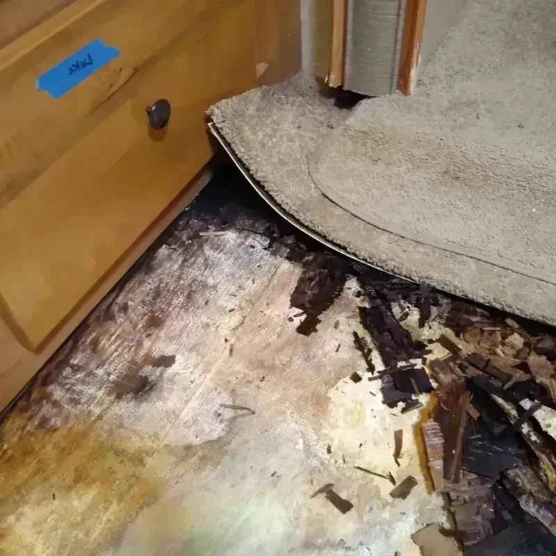 Wood Floor Water Damage in Hardin, MT